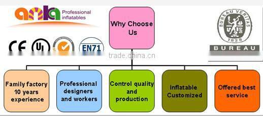 Clear-inflatable-lawn-tent for sale