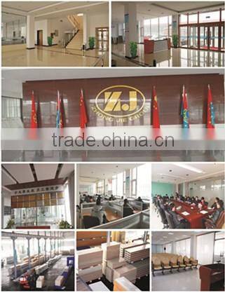 Low Cost Light Steel Frame Modular House