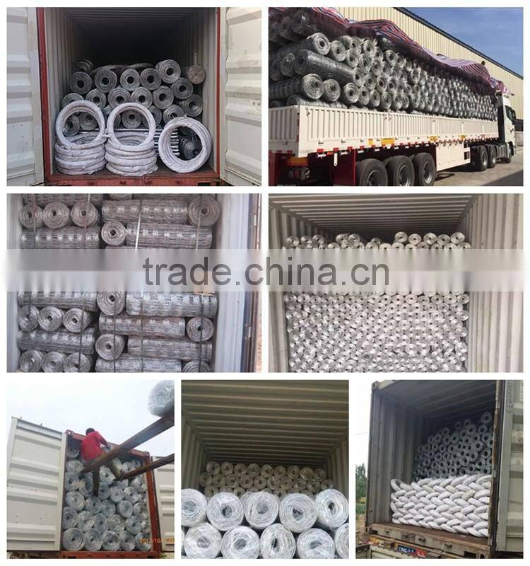 Factory grassland hot dipped galvanized woven wire sheep fence