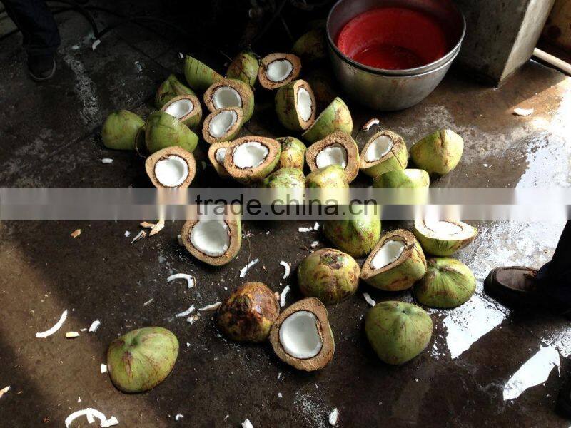 automatic industrial young coconut half cutting machine and water collection