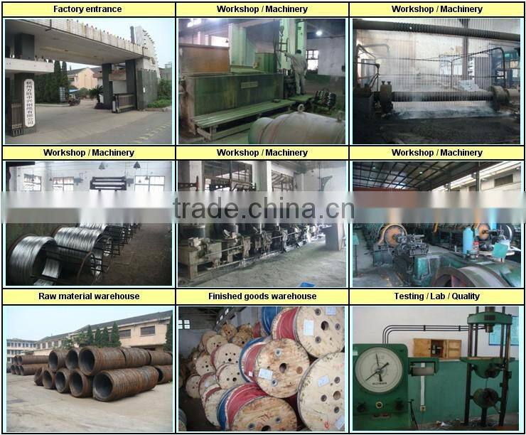Hot Dipped Galvanized Steel Wire Manufacturer