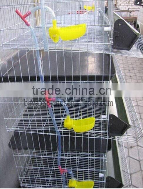Galvanized battery quail cage for