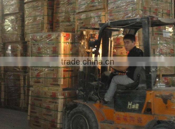 300x300mm Porcelain Rustic Floor Tile;