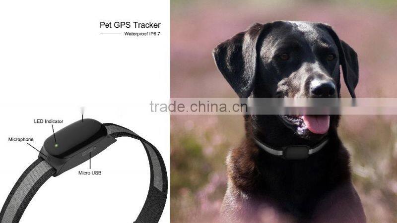 Hot Mini GPS locator worlds smallest pet gps tracker/gps tracker smallest