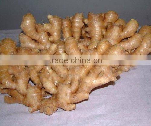chinese ginger