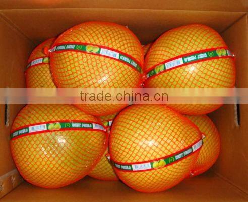 Chinese Fresh Honey Pomelo from Factory