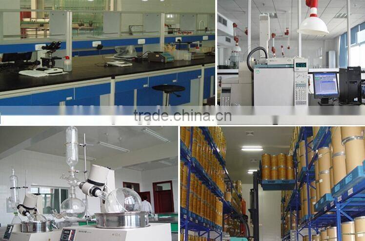Manufacturer Price Supply Bulk Xylitol 99%
