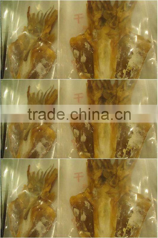 Bulk Packing High Quality Dried cuttlefish (Sthenoteuthis oualaniensis)