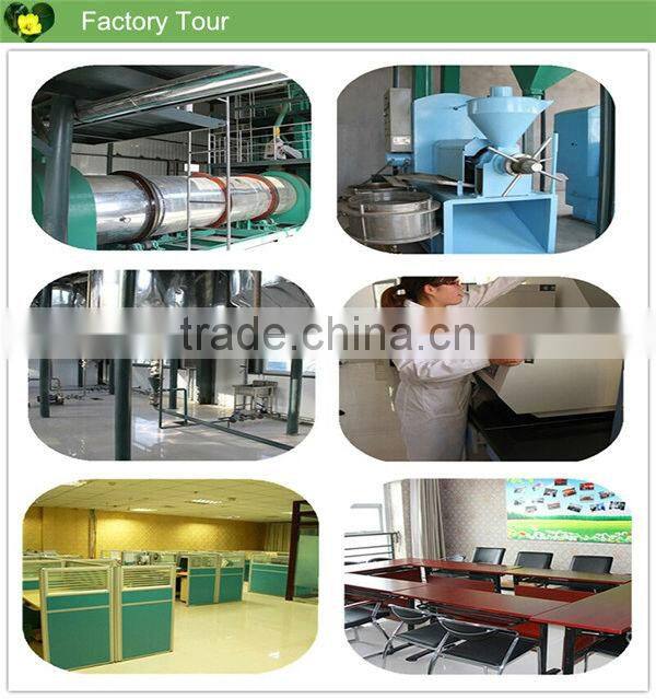 Pure Evening primrose oil with high quality