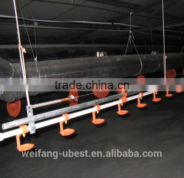 automatic poultry watering system for chickens