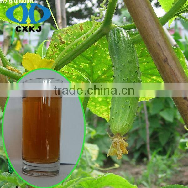 Potassium Fulvate Shinny Flake for Agriculture Fertilizer