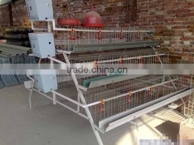 3-layer chicken layer cage price