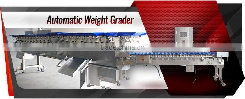 Automatic Chicken Feet Weight Grading Machine