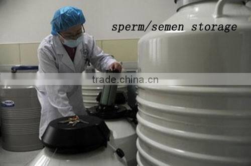 liquid nitrogen storage tank cryogenic LN2 tank dewar