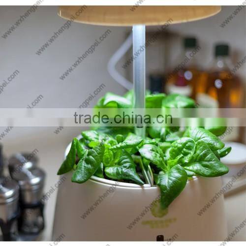Mini hydroponic smart garden