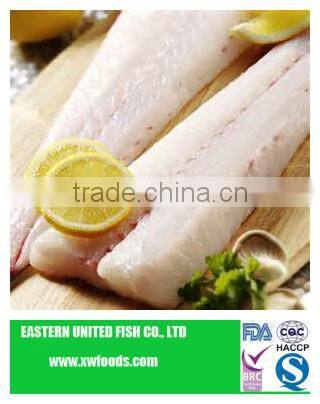 pacific hake fish