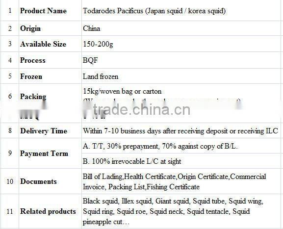 Frozen Whole Round Squid Todarodes Pacificus