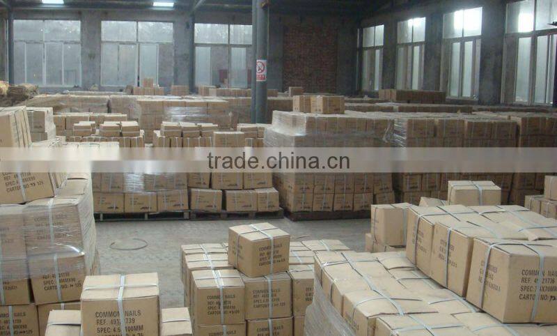 Iron roofing felt nails, large head nails