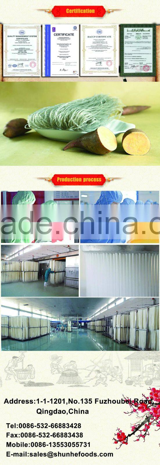 Hot Selling organic high protein pasta mung bean wide vermicelli