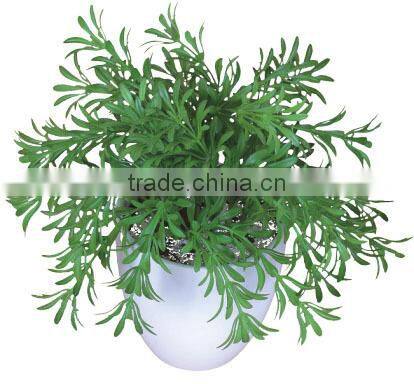 Nearly natural mini succulents potted plant small succulents