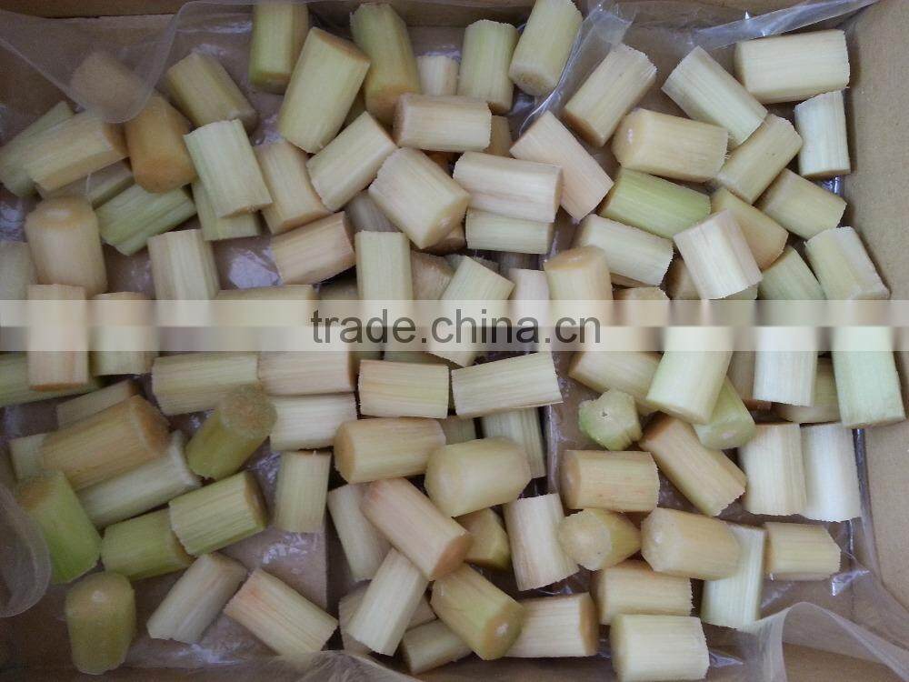 Best Fresh Sweet Sugar Cane from Vietnam