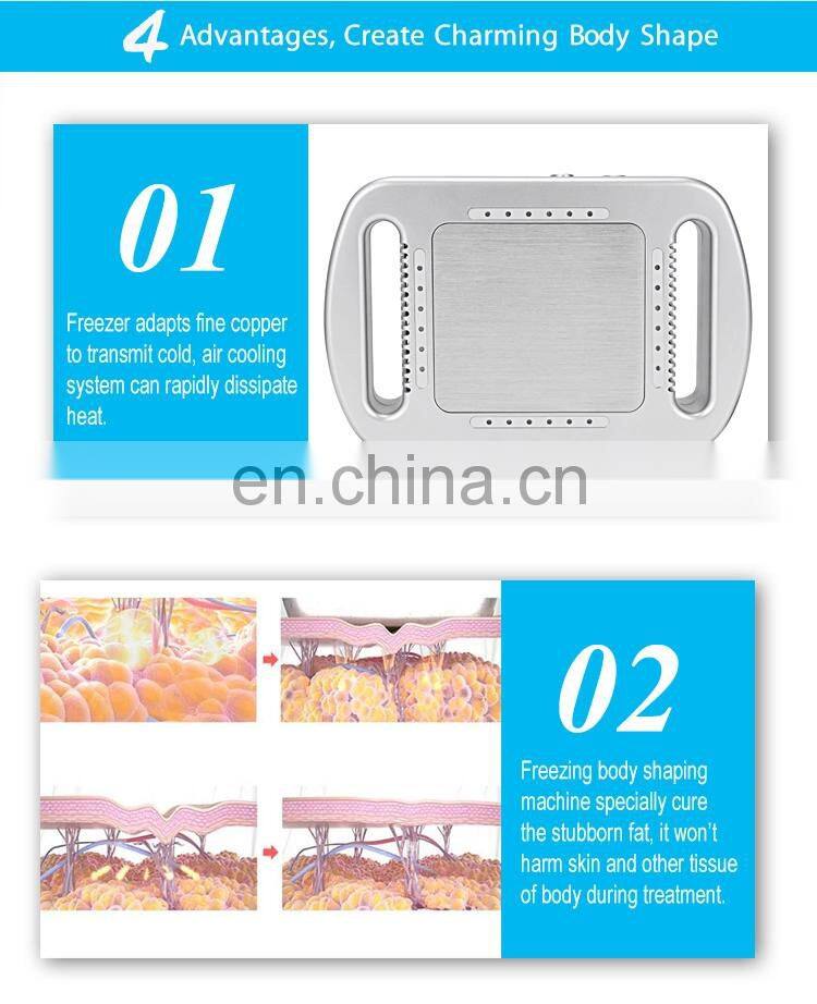 Home Portable Belly Reduction Fat Lifting Firming Slimming Machine / Frozen Shaping Weight Loss Instrument