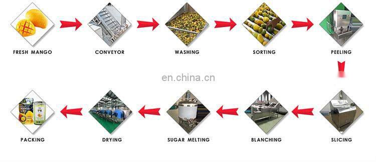 Dried fruit dehydration/dehydrator machine industrial shanghai