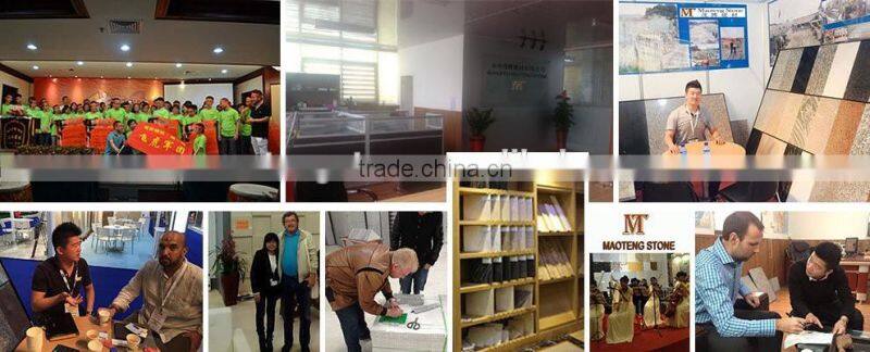 Honed Andesite Basalt Stone Tiles, China Black Basalt