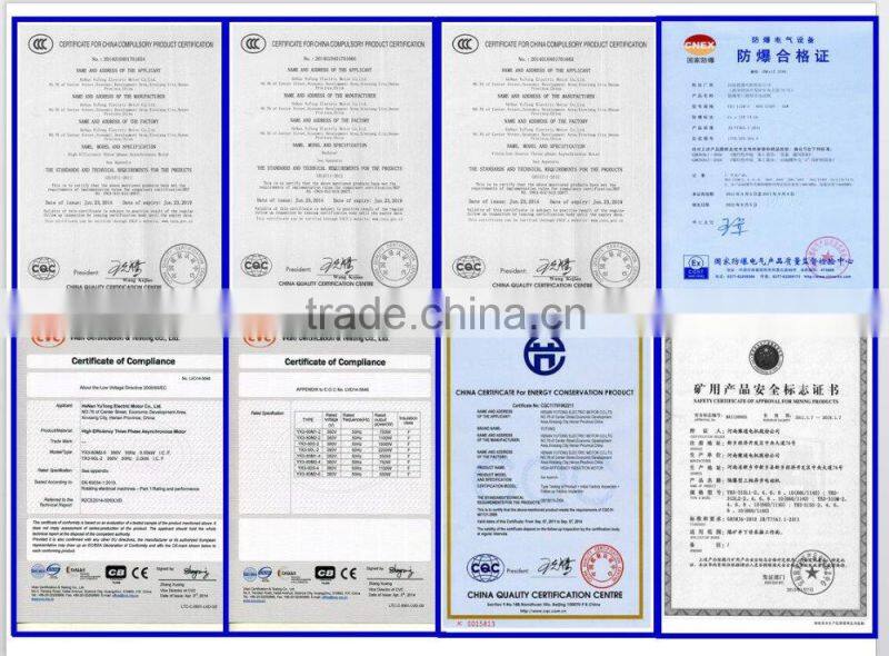 YLJ high torque low rpm ac electric motors