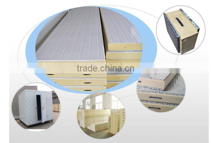 cold room sandwich panel
