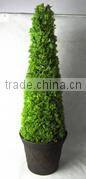 Top quality indoor and outdoor use topiary trees