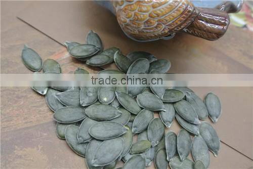 peanuts GWS Pumpkin Kernels price