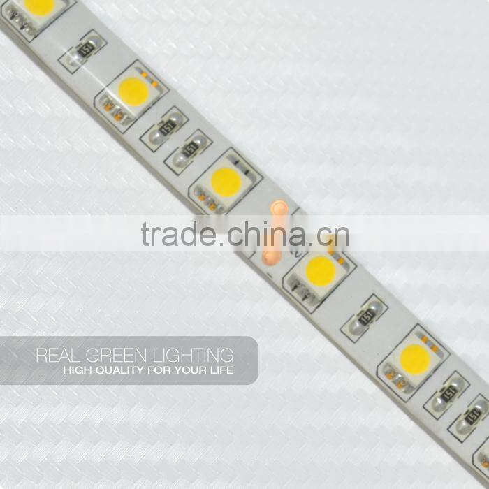 Waterproof SMD 5050 60 LEDs/M 14.4W/M 12V LED Flex Strip Light