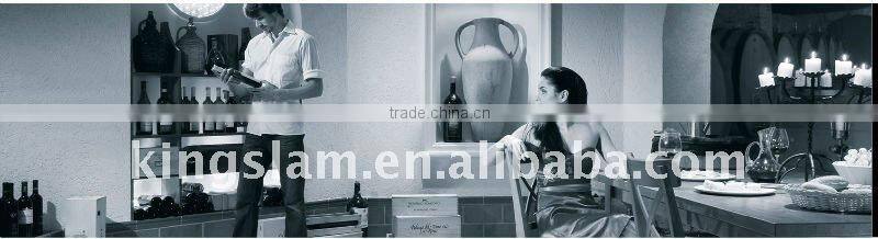 luxury modern kitchen cabinets