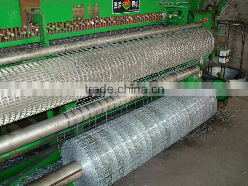 Pvc Coated Holland Wire Mesh/pvc Holland Wire Mesh Fencing (professional Manufacturer)