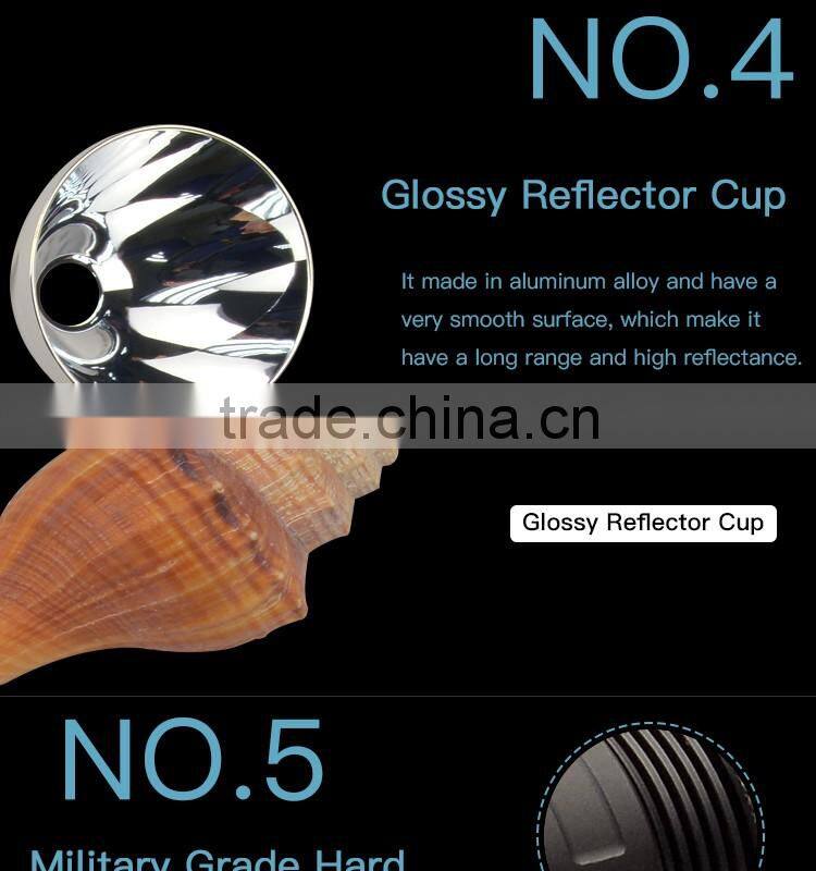 Flashlight sex toy for man 1000 Lumen XML L2 torch light for hunting camping