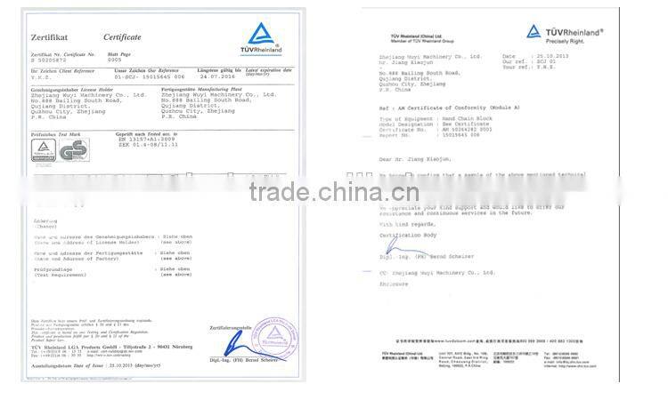 electric chain hoist single phase