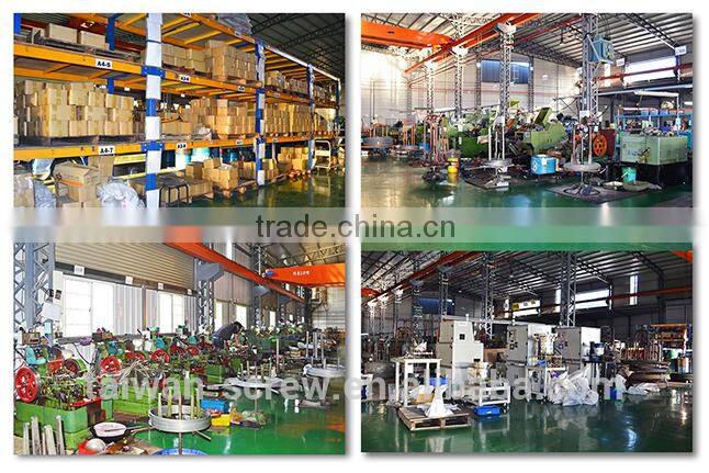 Professional Manufacturer Wood Building Screw