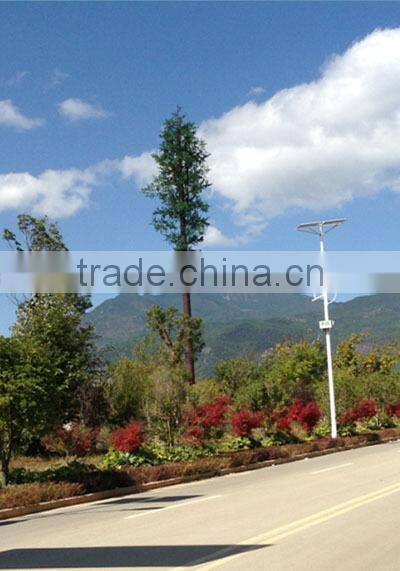 camouflaged pine tree cell phone tower for telecommunication