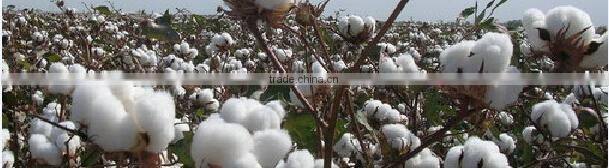 medical sterile sponge stick for surgical