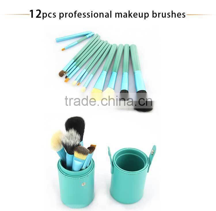 Professional Nylon Goat and Horse Hair 12Pcs Makeup Brush Tools