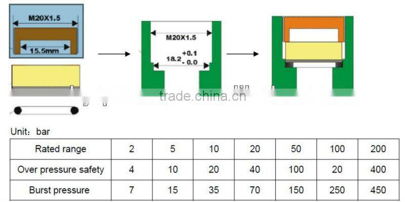 Thick-film ceramic sensor chip
