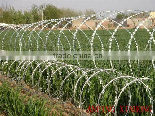 razor barbed wire mesh fence