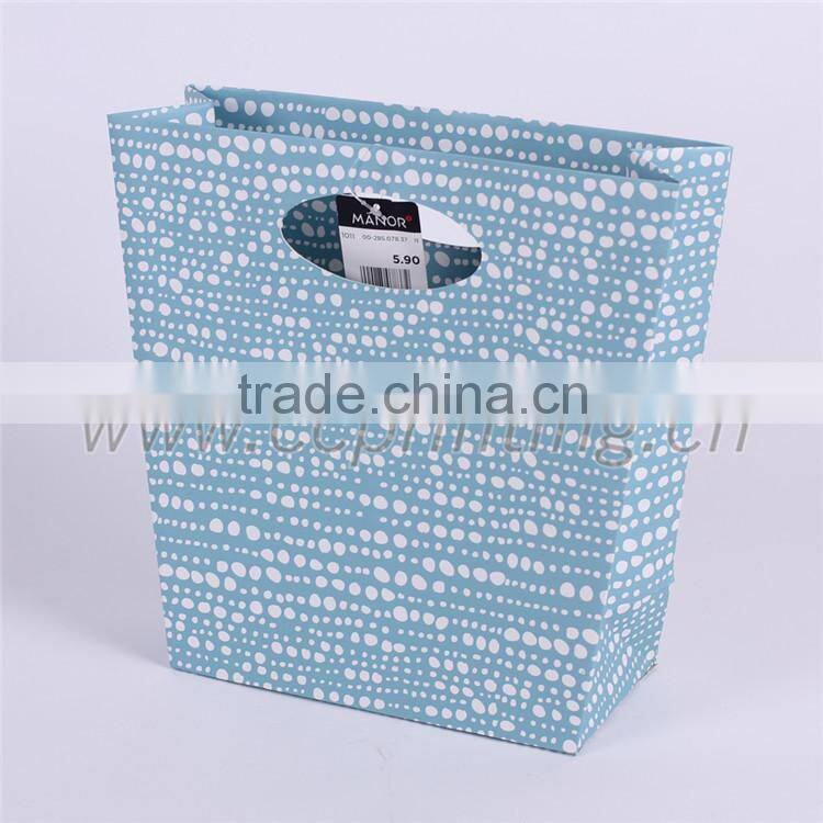 Promotional Cloth Shopping Bag/ Paper Shopping Bag/ Paper gift bag