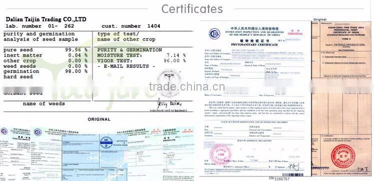 Manufacturer Wholesale Rape Honey Prices