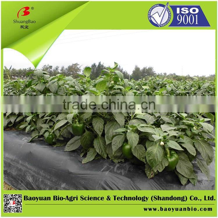 Compound NPK Fertilizer 17-17-17