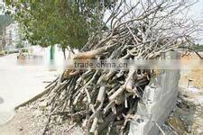 chinese high efficiency charcoal stick extruder machine