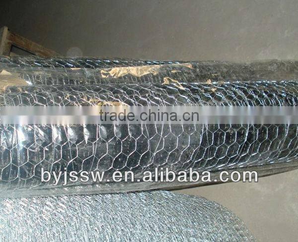 Gi Chicken Wire Mesh