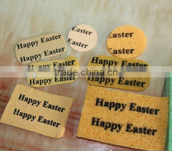 2015 Compressed Sponge Round Multi Color