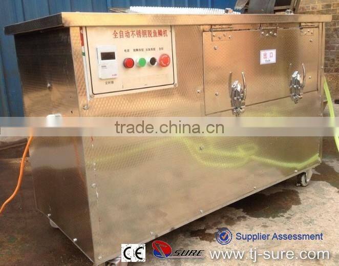 Scaled Fish Machines